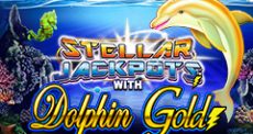 Dolphin Gold Stellar Jackpots