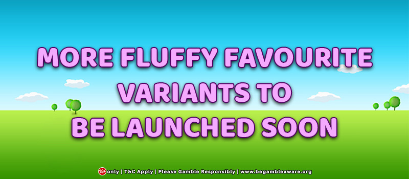 More Fluffy Favorites Variants To Be Launched Soon