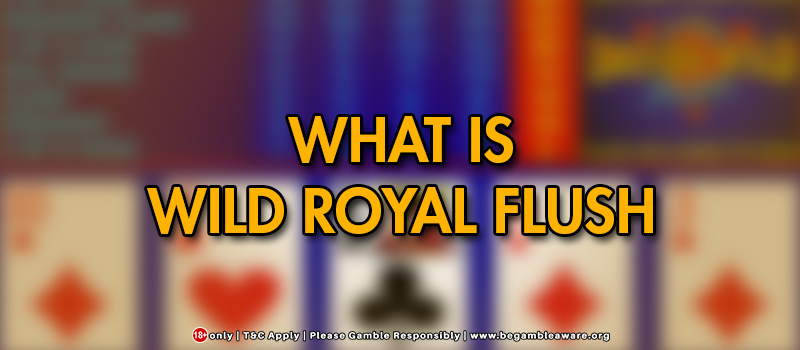 What Is A Wild Royal Flush?