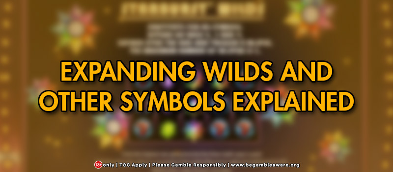 What Are Expanding Wilds and Other Popular Symbols: Explained